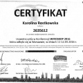 Powiększ obraz: certificate 2