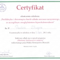 Powiększ obraz: certificate 2