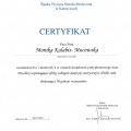 Powiększ obraz: certificate 26