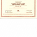 Powiększ obraz: certificate 3