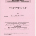 Powiększ obraz: certificate 4