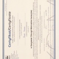 Powiększ obraz: certificate 9