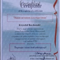 Powiększ obraz: certificate 1