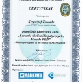 Powiększ obraz: certificate 12