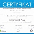 Powiększ obraz: certificate 5