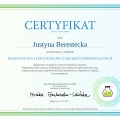 Powiększ obraz: certificate 9