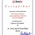 Powiększ obraz: certificate 5