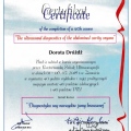 Powiększ obraz: certificate 5