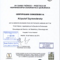 Powiększ obraz: certificate 14