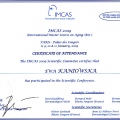 Powiększ obraz: certificate 27