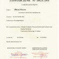 Powiększ obraz: certificate 20