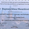 Powiększ obraz: certificate 7