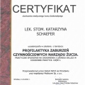 Powiększ obraz: certificate 28
