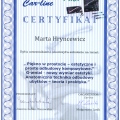 Powiększ obraz: certificate 4