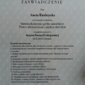 Powiększ obraz: certificate 1