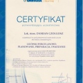 Powiększ obraz: certificate 5