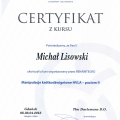 Powiększ obraz: certificate 3