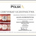 Powiększ obraz: certificate 3