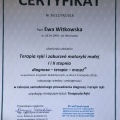 Powiększ obraz: certificate 4