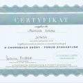 Powiększ obraz: certificate 13