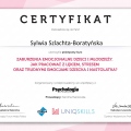 Powiększ obraz: certificate 1