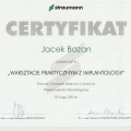 Powiększ obraz: certificate 1