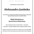 Powiększ obraz: certificate 4