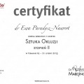 Powiększ obraz: certificate 7