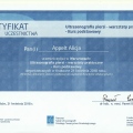 Powiększ obraz: certificate 5