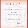 Powiększ obraz: certificate 10