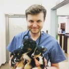 lek. wet. Jakub Kotowicz