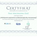 Powiększ obraz: certificate 20