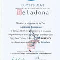 Powiększ obraz: certificate 6