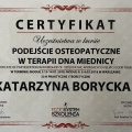 Powiększ obraz: certificate 11