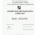 Powiększ obraz: certificate 10