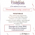 Powiększ obraz: certificate 3