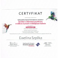 Powiększ obraz: certificate 26
