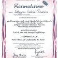 Powiększ obraz: certificate 23