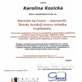 Powiększ obraz: certificate 9