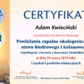 Powiększ obraz: certificate 8