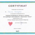 Powiększ obraz: certificate 11