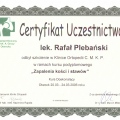 Powiększ obraz: certificate 6