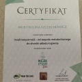 Powiększ obraz: certificate 63
