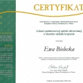 Powiększ obraz: certificate 22