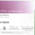Powiększ obraz: certificate 27