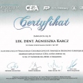 Powiększ obraz: certificate 1
