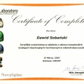 Powiększ obraz: certificate 10