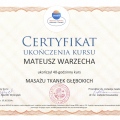 Powiększ obraz: certificate 16