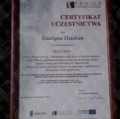 Powiększ obraz: certificate 12