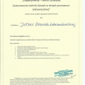 Powiększ obraz: certificate 1
